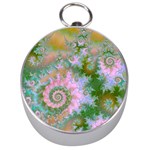 Rose Forest Green, Abstract Swirl Dance Silver Compass