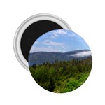 Newfoundland 2.25  Button Magnet