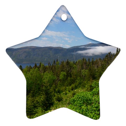 Newfoundland Star Ornament from ZippyPress Front