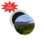 Newfoundland 1.75  Button Magnet (10 pack)