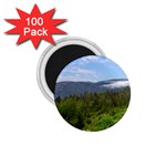 Newfoundland 1.75  Button Magnet (100 pack)