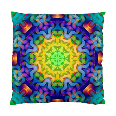 Psychedelic Abstract Cushion Case (Single Sided)  from ZippyPress Front