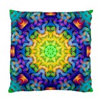 Psychedelic Abstract Cushion Case (Two Sided) 