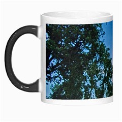 Coming Sunset Accented Edges Morph Mug from ZippyPress Left