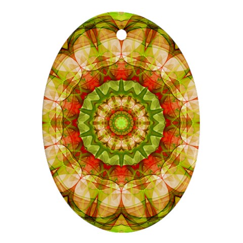 Red Green Apples Mandala Oval Ornament from ZippyPress Front
