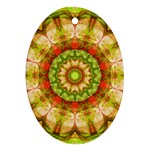 Red Green Apples Mandala Oval Ornament