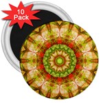 Red Green Apples Mandala 3  Button Magnet (10 pack)
