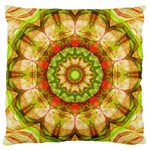 Red Green Apples Mandala Large Cushion Case (Two Sided) 
