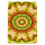 Red Green Apples Mandala Removable Flap Cover (Small)