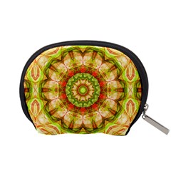 Red Green Apples Mandala Accessories Pouch (Small) from ZippyPress Back