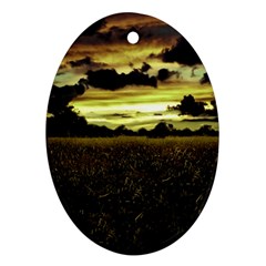 Dark Meadow Landscape  Oval Ornament (Two Sides) from ZippyPress Back