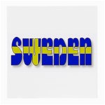 Flag Spells Sweden Glasses Cloth (Medium, Two Sided)