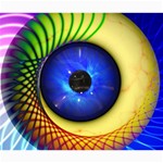Eerie Psychedelic Eye Canvas 20  x 24  (Unframed)