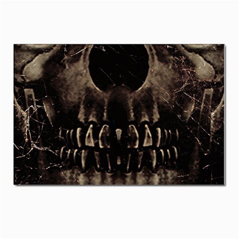 Skull Poster Background Postcards 5  x 7  (10 Pack) from ZippyPress Front