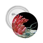 redcoral 2.25  Button