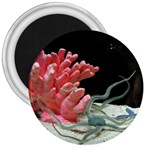 redcoral 3  Magnet
