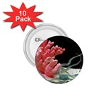 redcoral 1.75  Button (10 pack) 
