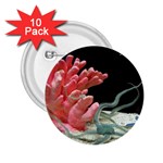 redcoral 2.25  Button (10 pack)