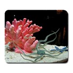 redcoral Large Mousepad