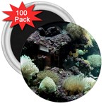 beautifulcoral 3  Magnet (100 pack)