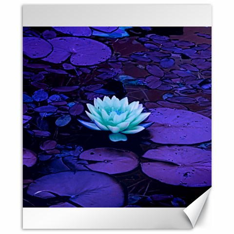 Lotus Flower Magical Colors Purple Blue Turquoise Canvas 8  x 10  from ZippyPress 8.15 x9.66  Canvas - 1