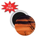 Tree branches and sunset 1.75  Magnets (10 pack) 