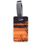 Tree branches and sunset Luggage Tags (One Side) 