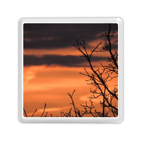 Tree branches and sunset Memory Card Reader (Square)  from ZippyPress Front