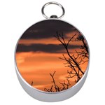 Tree branches and sunset Silver Compasses