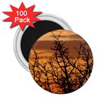 Colorful Sunset 2.25  Magnets (100 pack) 