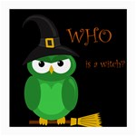 Who is a witch? - green Medium Glasses Cloth (2-Side)