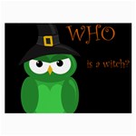 Who is a witch? - green Large Glasses Cloth