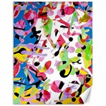Colorful pother Canvas 12  x 16  