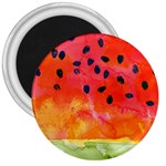 Abstract Watermelon 3  Magnets