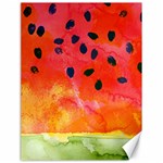 Abstract Watermelon Canvas 18  x 24  