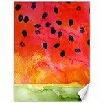 Abstract Watermelon Canvas 36  x 48  