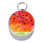 Abstract Watermelon Mini Silver Compasses