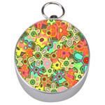 Colorful shapes          Silver Compass
