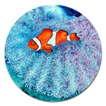 Serenity Clown and Anemone Magnet 5  (Round)