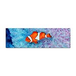 Serenity Clown and Anemone Sticker Bumper (100 pack)