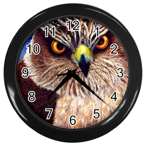 Hawkeyes Wall Clock (Black) from ZippyPress Front