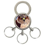 Hawkeyes 3-Ring Key Chain