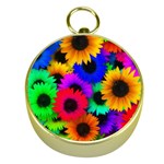 Colorful sunflowers                                                   Gold Compass