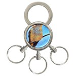 Scoutin  Hummingbirs 3-Ring Key Chain