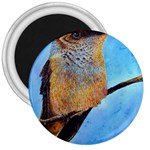 Scoutin  Hummingbird 3  Magnet