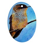 Scoutin  Hummingbird Ornament (Oval)