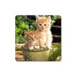 Cute Cats Magnet (Square)