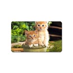 Cute Cats Magnet (Name Card)