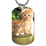 Cute Cats Dog Tag (One Side)