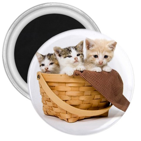 Kittens in a basket 3  Magnet from ZippyPress Front